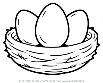 Nest mit Eiern Ausmalbild