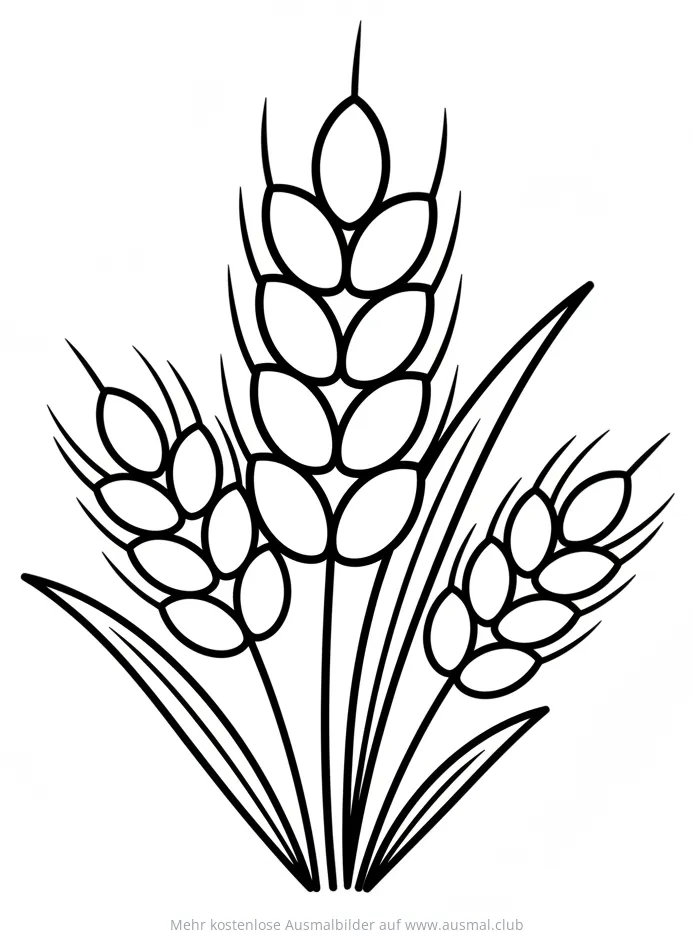 Weizen Ähren Ausmalbild