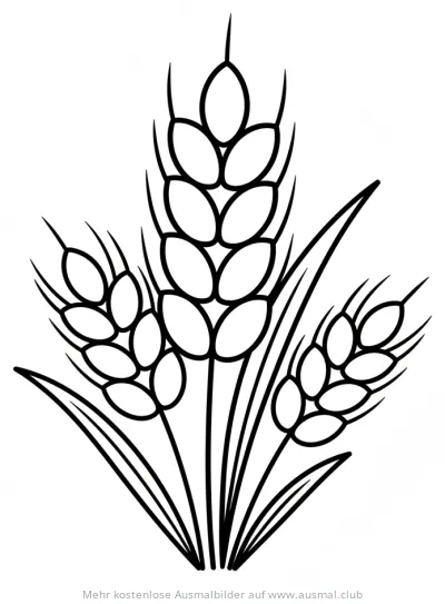 Weizen Ähren Ausmalbild