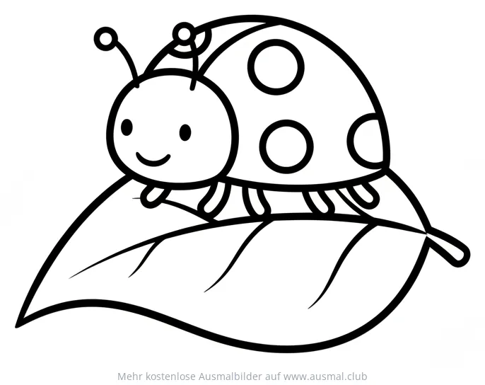 Marienkäfer auf Blatt Ausmalbild