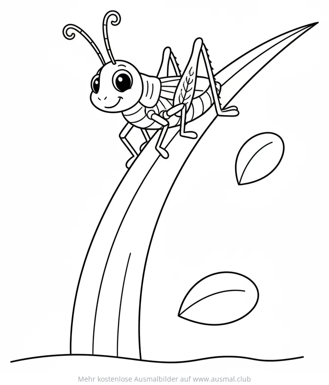Grashüpfer auf Grashalm Ausmalbild