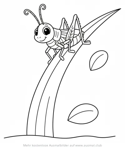 Grashüpfer auf Grashalm Ausmalbild