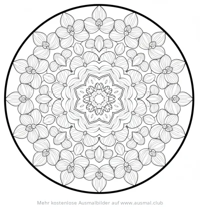 Orchidee Ausmalbild als Mandala