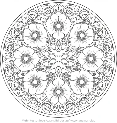 Anemone Blumen Mandala Ausmalbild