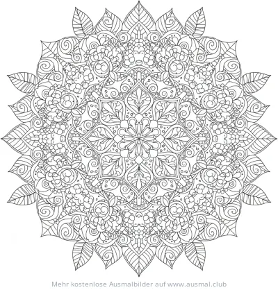 Hortensien Mandala Ausmalbild mit detaillierten Blüten und Blättern
