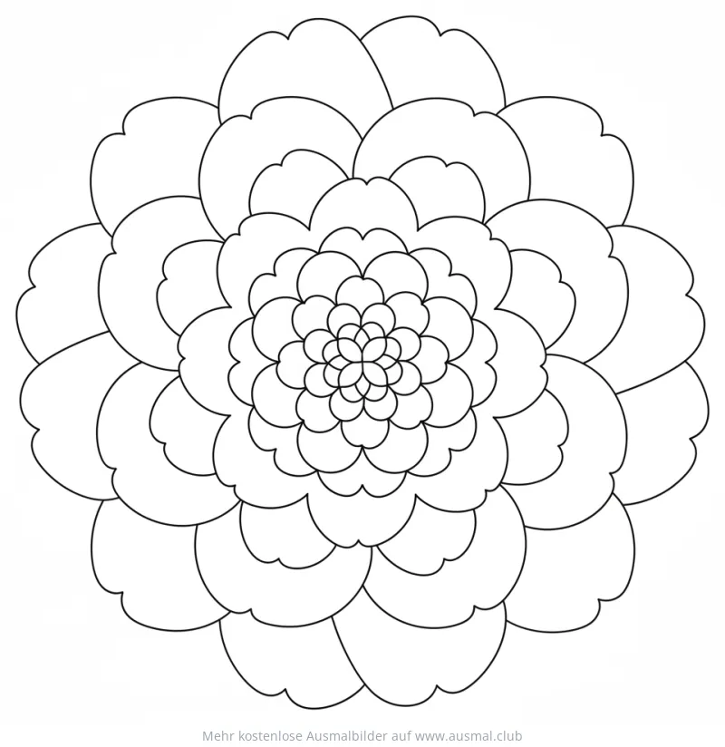 Kamelien Mandala Ausmalbild