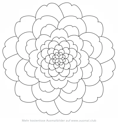 Kamelien Mandala Ausmalbild