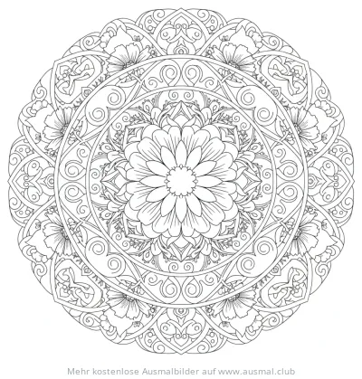 Cosmea Blumen Mandala Ausmalbild