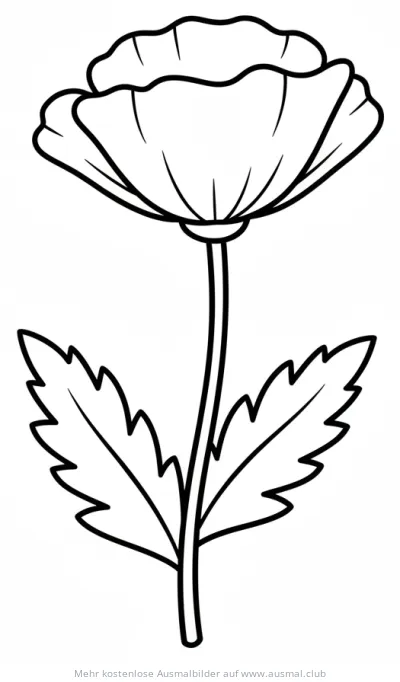 Mohnblume Ausmalbild mit Stiel und Blättern