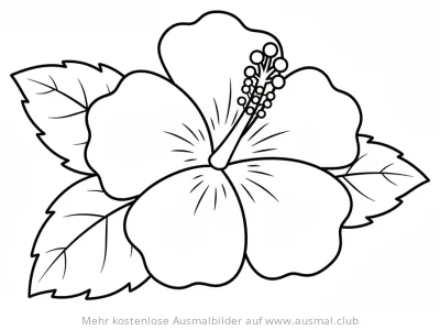 Hibiskusblüte Ausmalbild mit Blättern