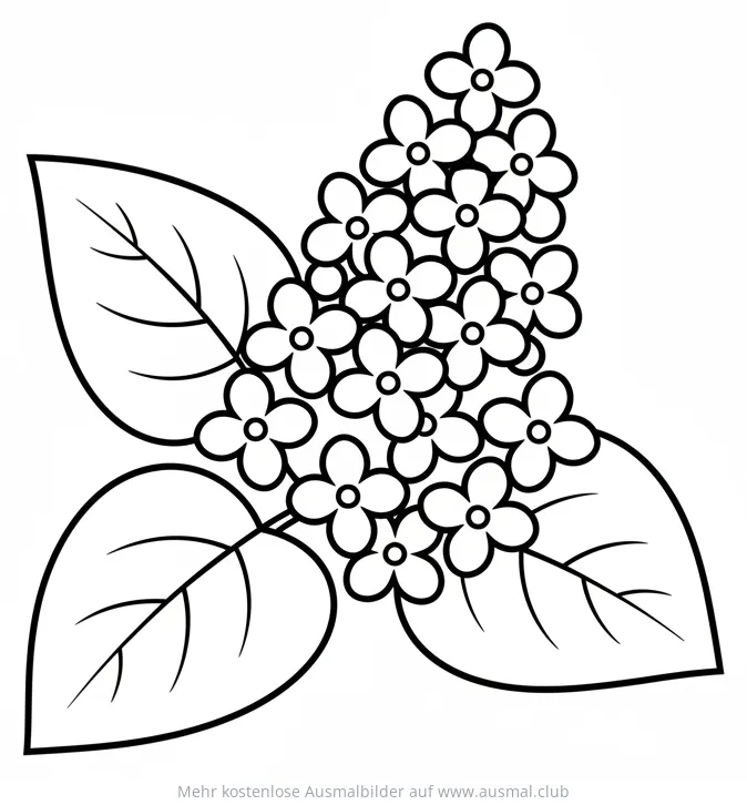 Fliederzweig Ausmalbild mit Blüten und Blättern