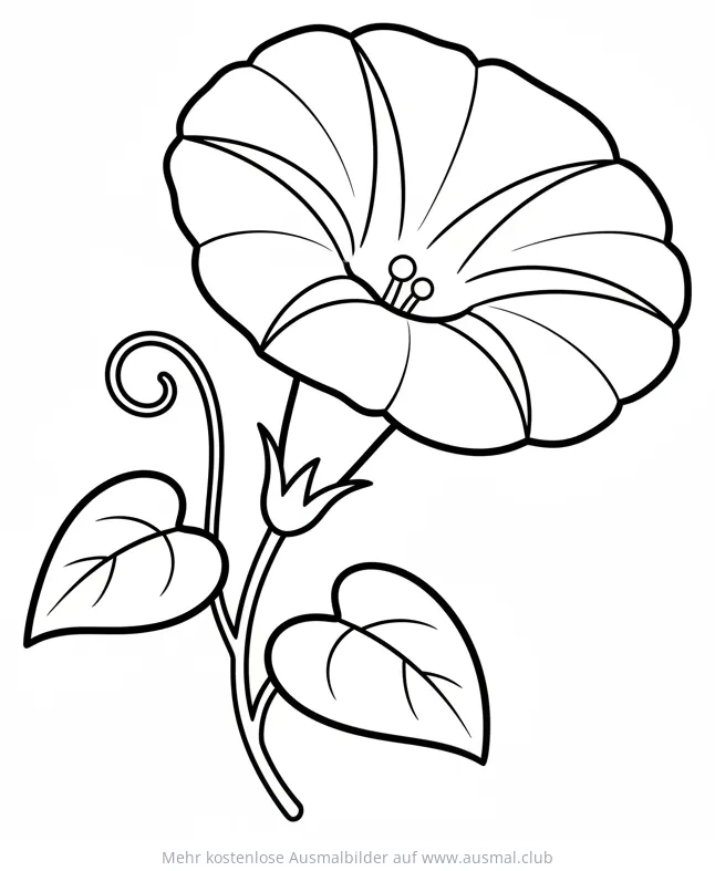 Prunkwinde Ausmalbild mit Blättern