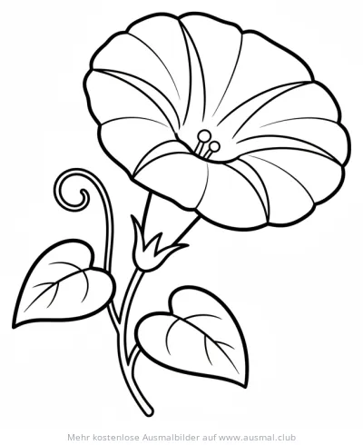 Prunkwinde Ausmalbild mit Blättern