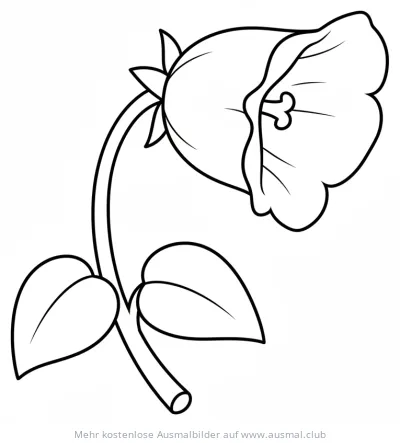 Glockenblume Ausmalbild