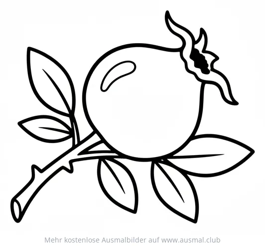 Hagebutte Ausmalbild mit Blättern