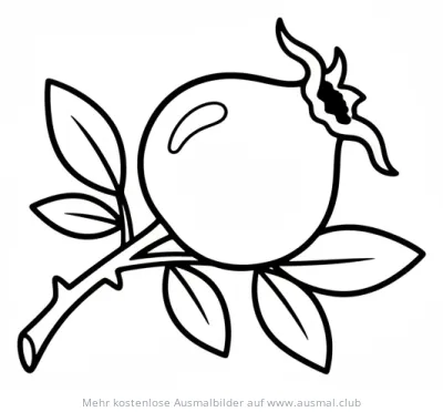 Hagebutte Ausmalbild mit Blättern