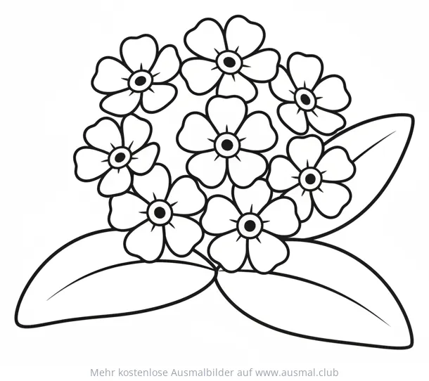 Vergissmeinnicht Blumen Ausmalbild