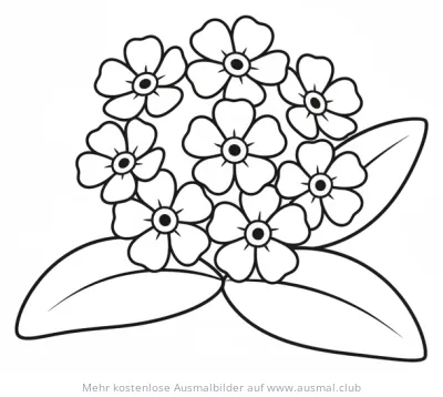 Vergissmeinnicht Blumen Ausmalbild