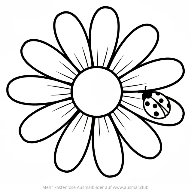 Gänseblümchen mit Marienkäfer Ausmalbild