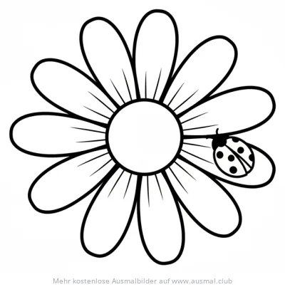 Gänseblümchen mit Marienkäfer Ausmalbild