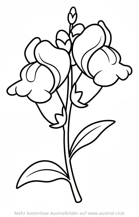 Löwenmaul Ausmalbild mit Blüten und Blättern
