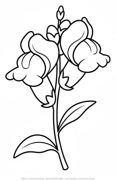 Löwenmaul Ausmalbild mit Blüten und Blättern