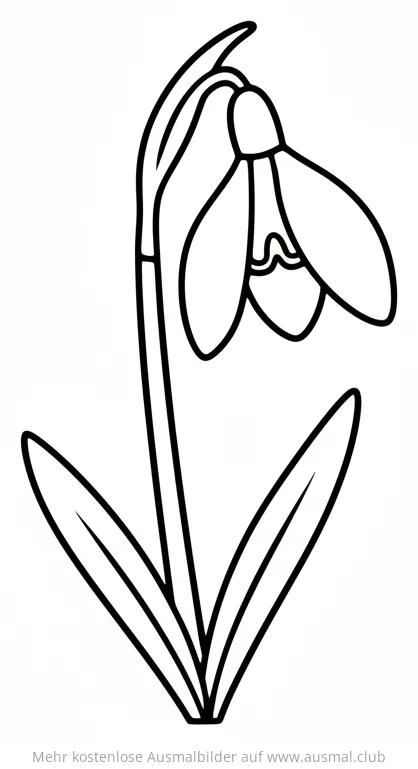 Schneeglöckchen Ausmalbild mit Blüte und Blättern
