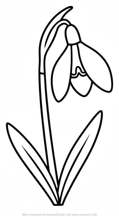 Schneeglöckchen Ausmalbild mit Blüte und Blättern