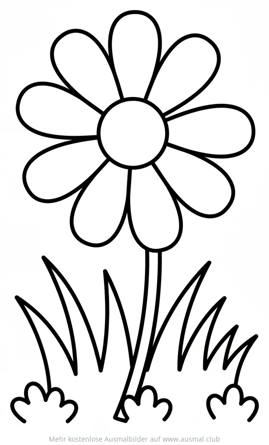 Gänseblümchen Ausmalbild auf einer Wiese