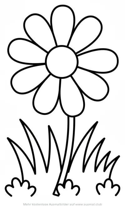 Gänseblümchen Ausmalbild auf einer Wiese