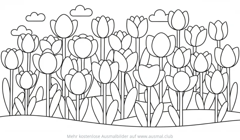 Tulpen Ausmalbild mit vielen Blumen auf einer Wiese