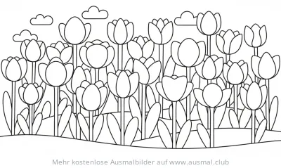 Tulpen Ausmalbild mit vielen Blumen auf einer Wiese