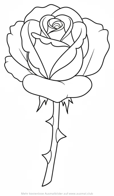 Rose Ausmalbild mit Stiel und Dornen