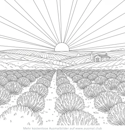 Lavendel-Garten mit Haus im Hintergrund Ausmalbild