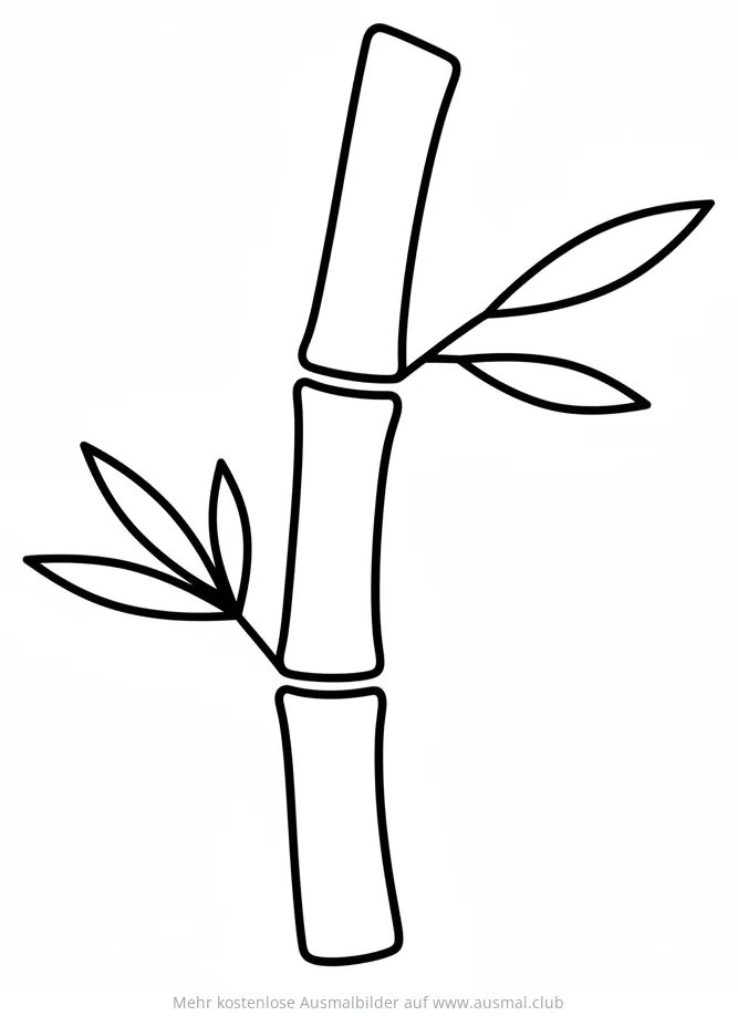 Bambus Ausmalbild