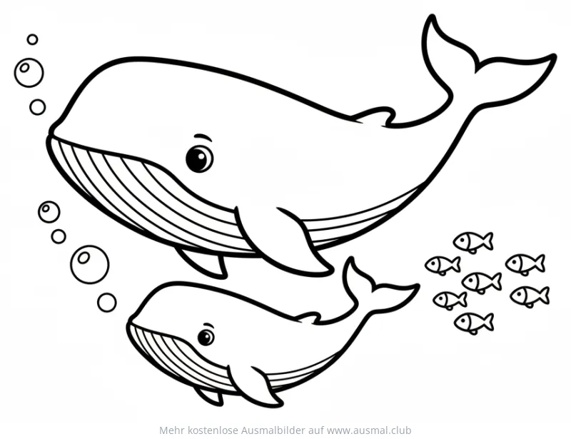 Wal und Walbaby schwimmen zusammen mit kleiner Fischgruppe Ausmalbild