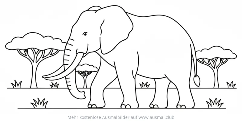 Elefant in der Savanne Ausmalbild