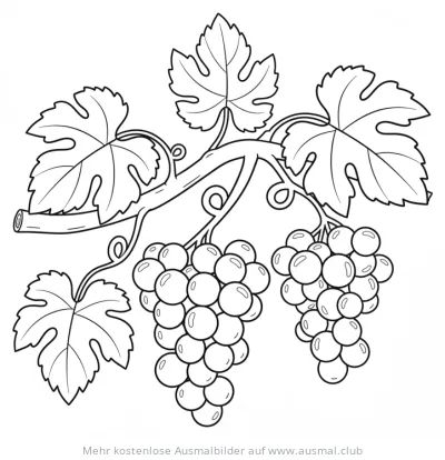 Trauben am Weinstock Ausmalbild