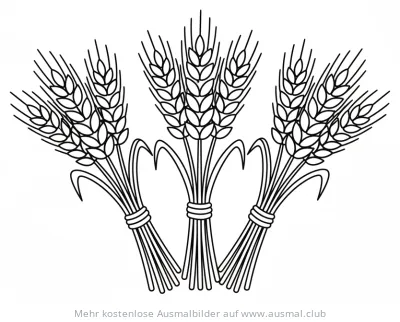 Drei Weizenbündel Ausmalbild zum Erntedank