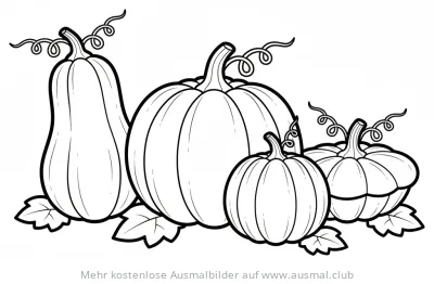 Kürbisse in verschiedenen Formen und Größen Ausmalbild