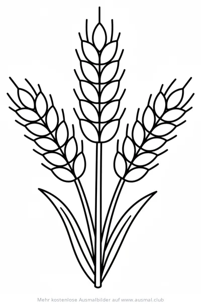 Weizenfeld Ausmalbild für den Erntedank