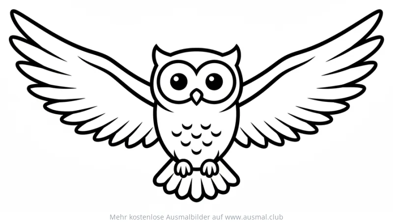 Fliegende Eule Ausmalbild