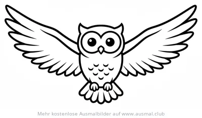 Fliegende Eule Ausmalbild
