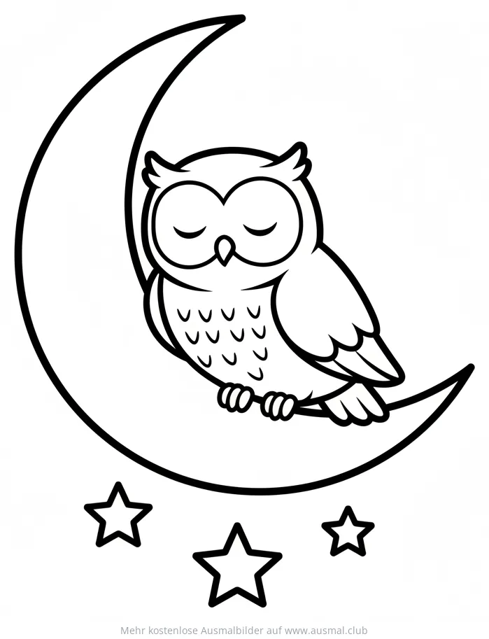 Schlafende Eule auf Mondsichel Ausmalbild mit Sternen
