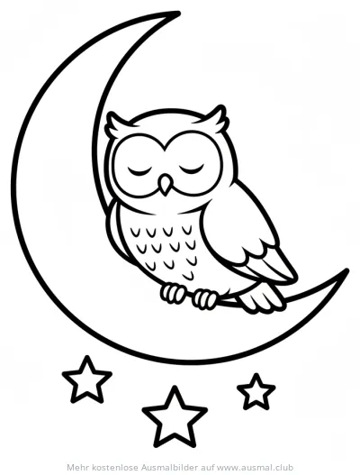 Schlafende Eule auf Mondsichel Ausmalbild mit Sternen