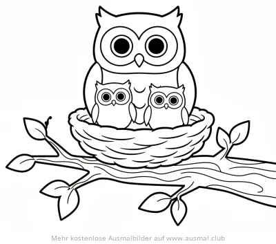 Eulenfamilie im Nest auf Ast Ausmalbild