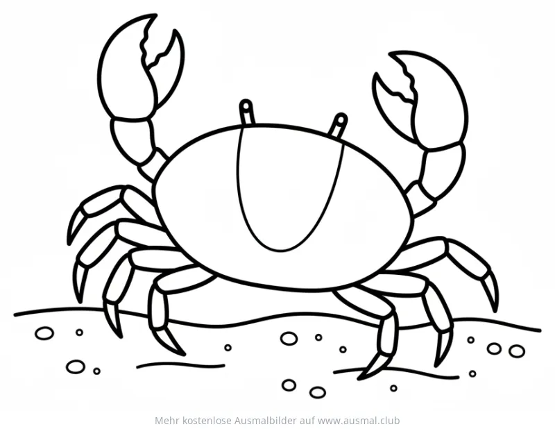 Krabbe Ausmalbild am Strand