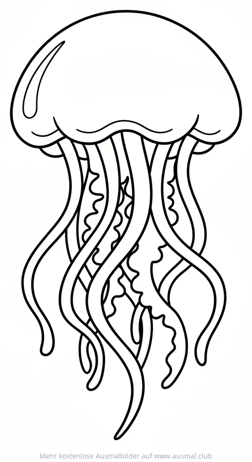 Qualle Ausmalbild mit langen Tentakeln