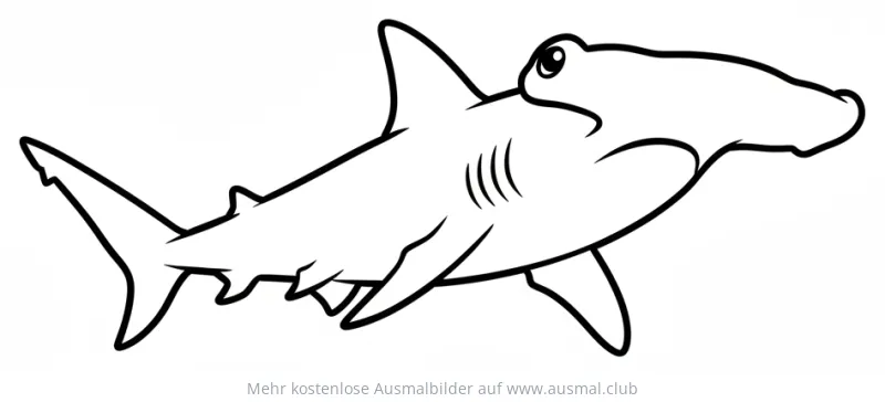 Hammerhai Ausmalbild
