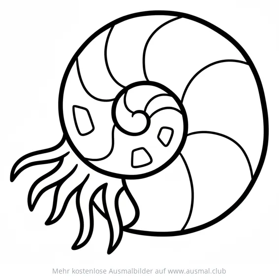 Nautilus Ausmalbild mit spiralförmigem Gehäuse und Tentakeln